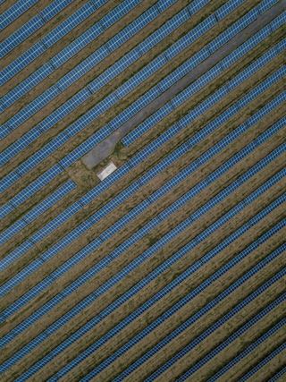 Hvad koster solceller? Her er alt, hvad du skal vide om priser og investering