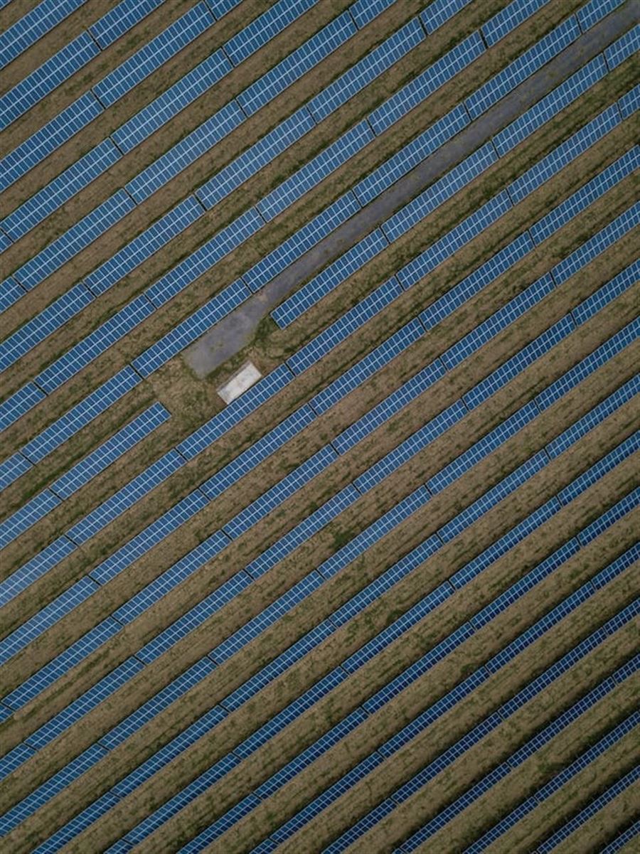 Hvad koster solceller? Her er alt, hvad du skal vide om priser og investering